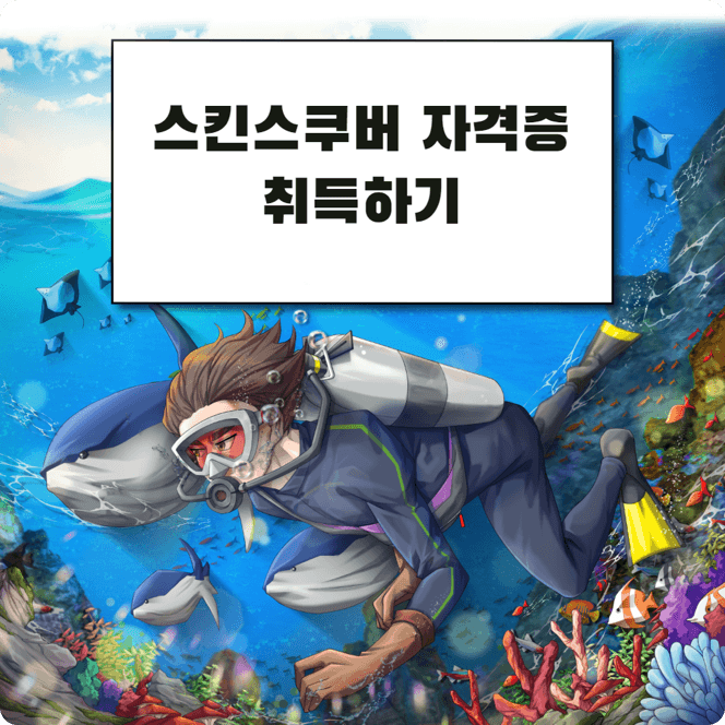 스킨스쿠버 자격증 취득하기